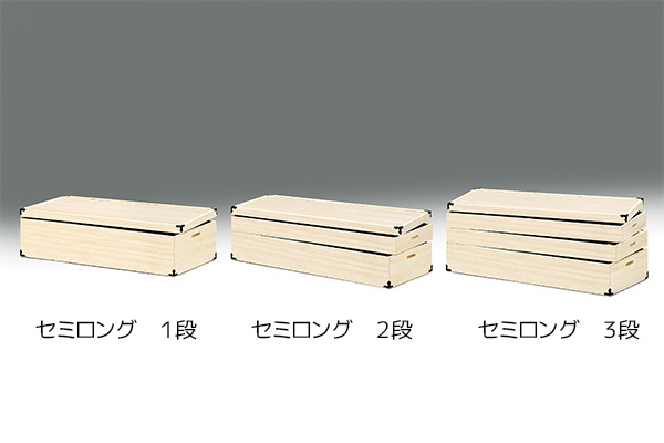 小町 衣装箱 セミロング
